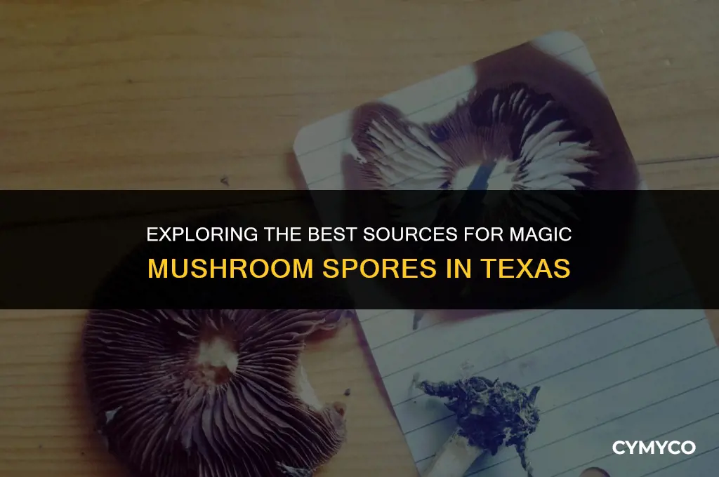 where to buy magic mushroom spores in texas