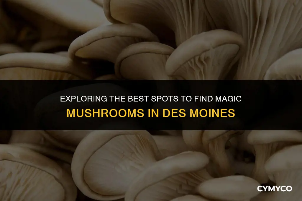 where to buy magic mushrooms des moines