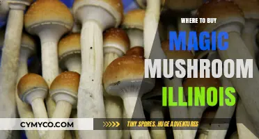 Exploring the Best Spots to Find Magic Mushrooms in Illinois