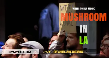 Exploring the Best Spots to Find Magic Mushrooms in LA