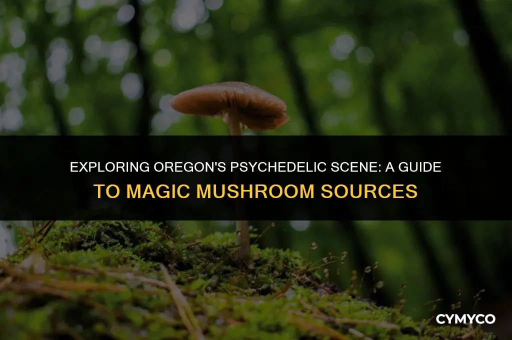 where to buy magic mushrooms oregon