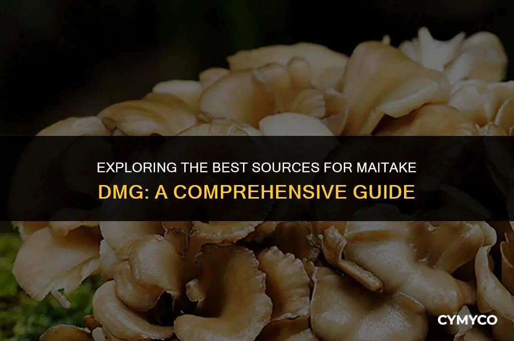 where to buy maitake dmg
