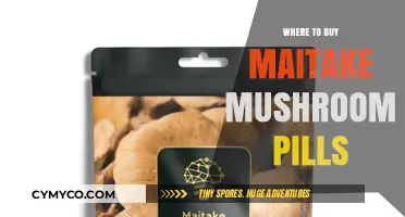 Exploring the Best Sources for Maitake Mushroom Supplements