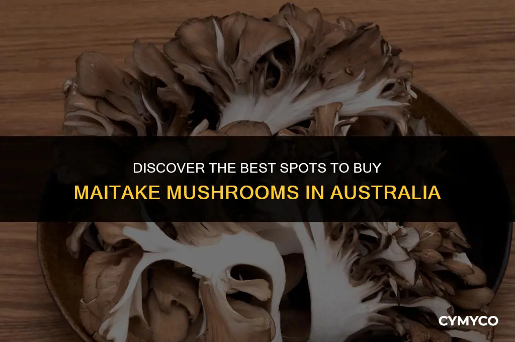 where to buy maitake mushrooms in australia