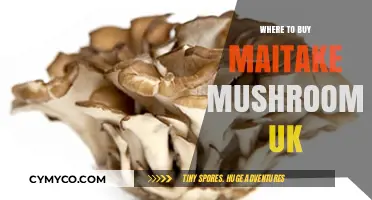 Discover the Best Spots to Buy Maitake Mushrooms in the UK