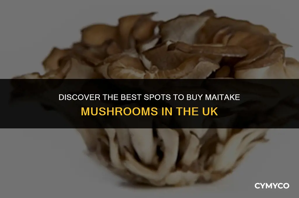 where to buy maitake mushrooms uk