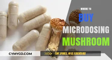 Best Places to Purchase Microdosing Mushrooms Safely and Legally