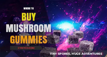 Best Places to Buy Mushroom Gummies: Top Retailers and Online Shops