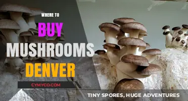 Denver's Top Spots to Buy Fresh and Exotic Mushrooms