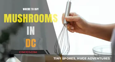 Discover Top Spots to Buy Fresh Mushrooms in Washington DC