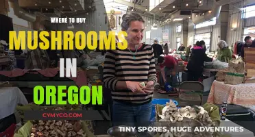 Discover Oregon's Best Spots to Buy Fresh, Local Mushrooms