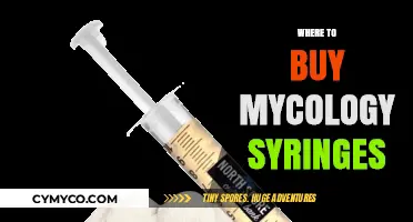 Exploring the Best Sources for Mycology Syringes: A Comprehensive Guide