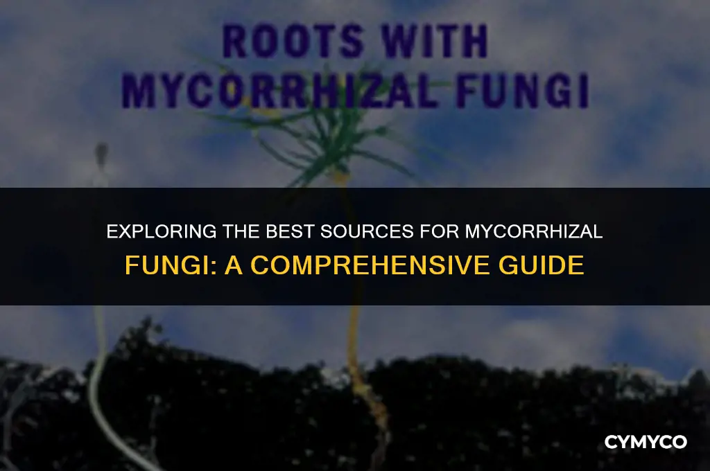 where to buy mycorrhizal fungi