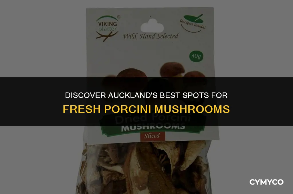 where to buy porcini mushrooms in auckland