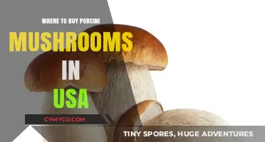 Discovering the Best Spots to Buy Porcini Mushrooms in the USA