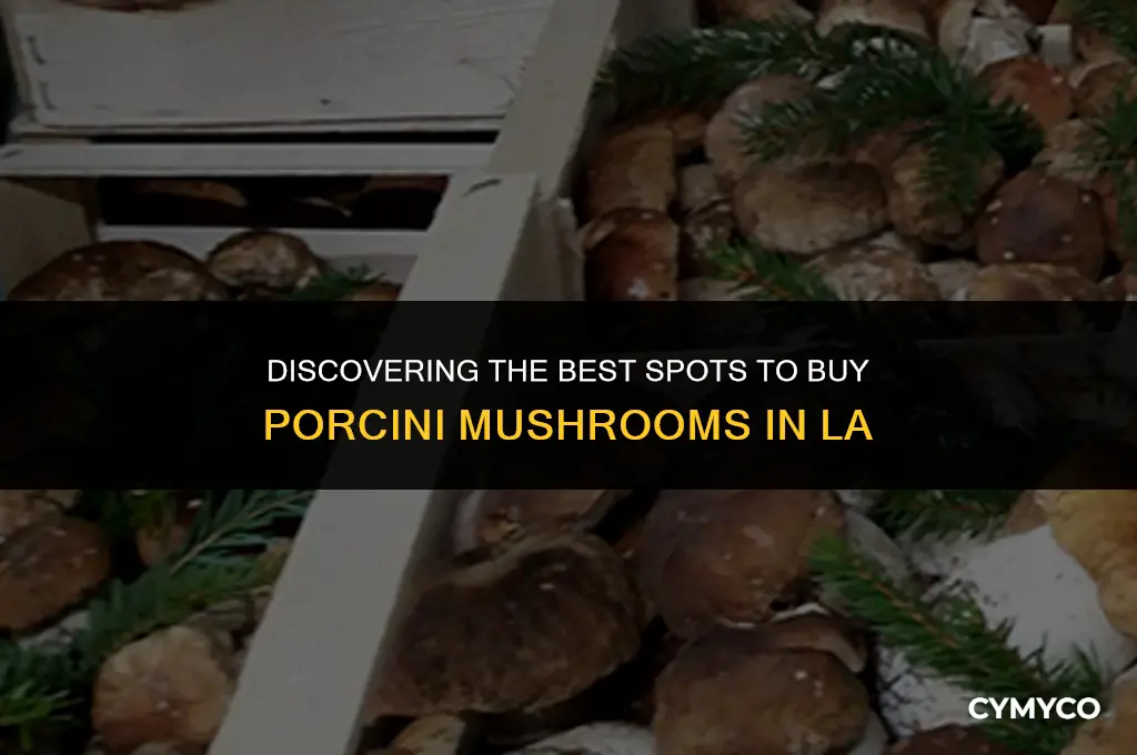where to buy porcini mushrooms la