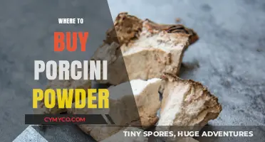 Discover the Best Sources for Premium Porcini Powder Online