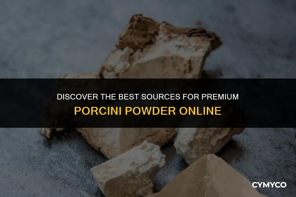where to buy porcini powder