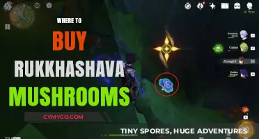 Discover the Best Places to Buy Rukkhashava Mushrooms Online and Locally