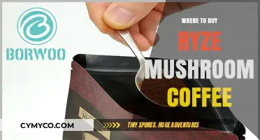 Discover the Best Places to Buy Ryze Mushroom Coffee Online
