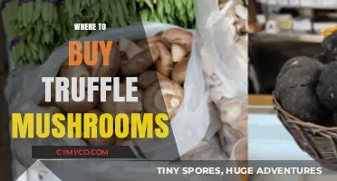 Discover the Best Places to Buy Fresh Truffle Mushrooms