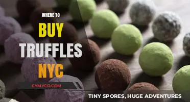 Indulge in Decadence: Your Guide to Buying Truffles in NYC