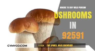 Discover the Best Spots to Buy Wild Porcini Mushrooms in 92591
