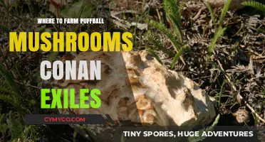 Exploring Conan Exiles: Best Spots for Puffball Mushroom Farming