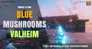 Discover Valheim's Hidden Blue Mushrooms: Best Locations Guide