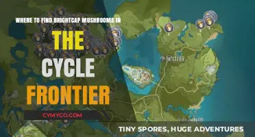 Brightcap Mushroom Locations: A Guide to The Cycle Frontier's Fungal Treasures
