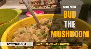 Discover Bud the Mushroom: Top Locations to Spot This Rare Fungus