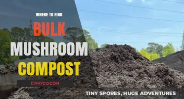 Discover Top Sources for Bulk Mushroom Compost: A Comprehensive Guide