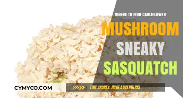 Discover Cauliflower Mushrooms in Sneaky Sasquatch: Top Secret Spots