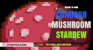 Exploring Stardew Valley: A Guide to Mushroom Foraging Hotspots