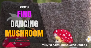 Exploring the Enchanting Realm of Dancing Mushrooms: A Guide