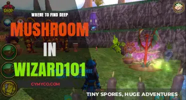 Exploring Wizard101: A Guide to Discovering Deep Mushrooms