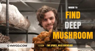 Exploring the Best Spots for Deep Mushrooms: A Comprehensive Guide