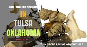 Exploring Tulsa's Best Spots for Dried Mushrooms: A Local's Guide