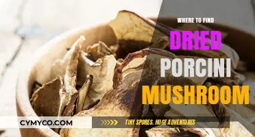 Discovering Gourmet Delights: Where to Find Dried Porcini Mushrooms