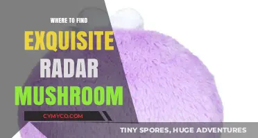 Unveiling Nature's Hidden Gems: A Guide to Exquisite Radar Mushrooms
