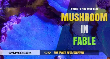 Discovering the Elusive Four Blue Mushrooms in Fable: A Comprehensive Guide