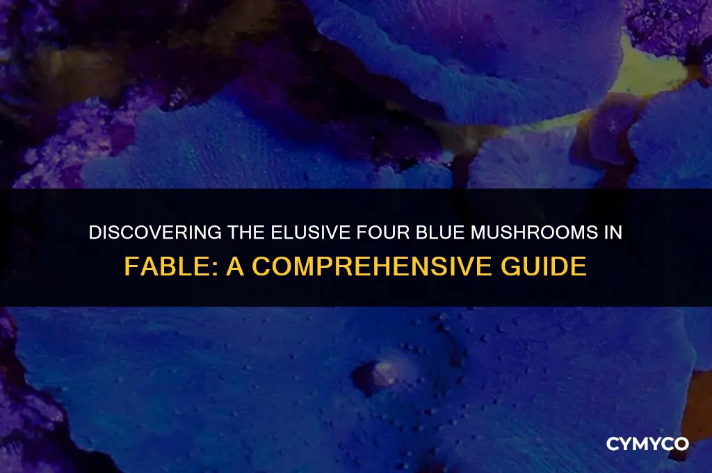 where to find four blue mushrooms in fable