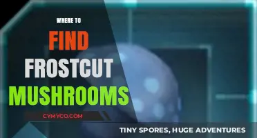 Exploring Nature's Bounty: A Guide to Locating Frostcut Mushrooms
