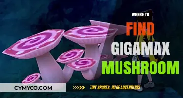 Exploring the Best Spots for Gigamax Mushrooms: A Comprehensive Guide