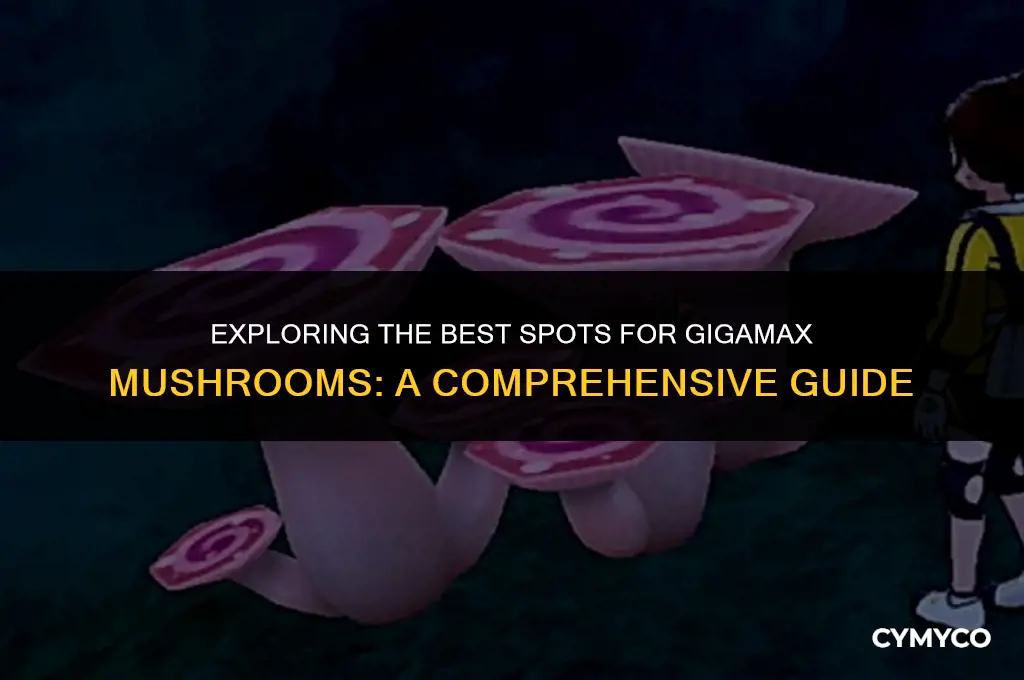 where to find gigamax mushrooms