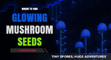 Nature's Hidden Gems: A Guide to Finding Glowing Mushroom Seeds