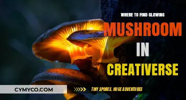 Discovering Bioluminescent Mushrooms in Creativerse: A Guide