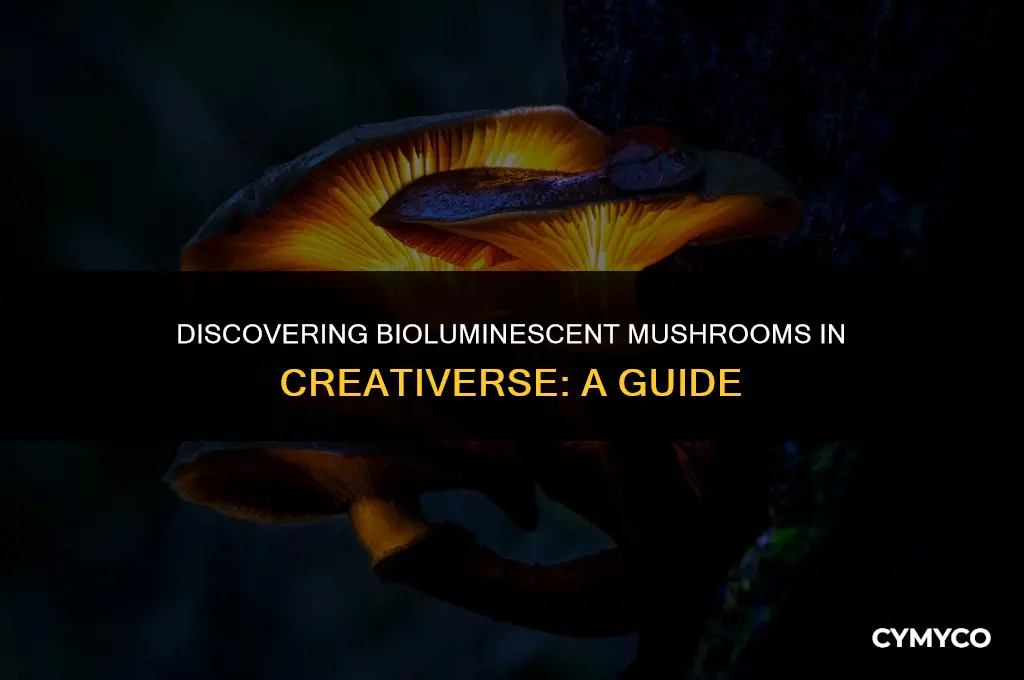 where to find glowing mushrooms in creativerse