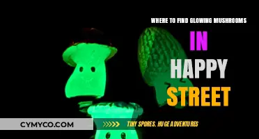 Discovering Bioluminescent Mushrooms on Happy Street: A Guide