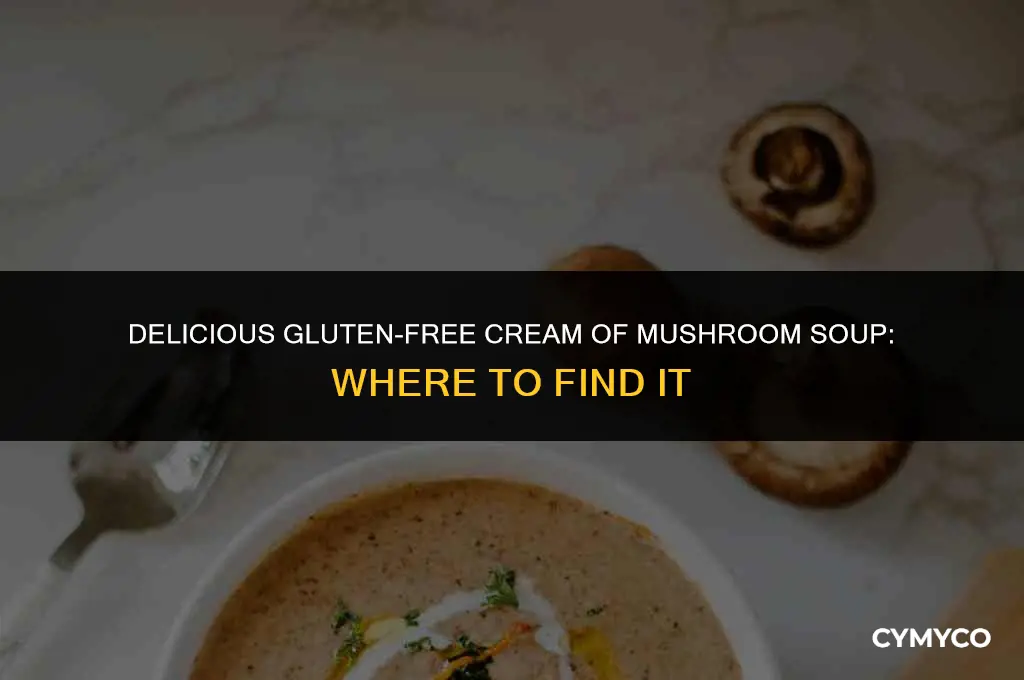 where to find gluten free cream of mushroom soup
